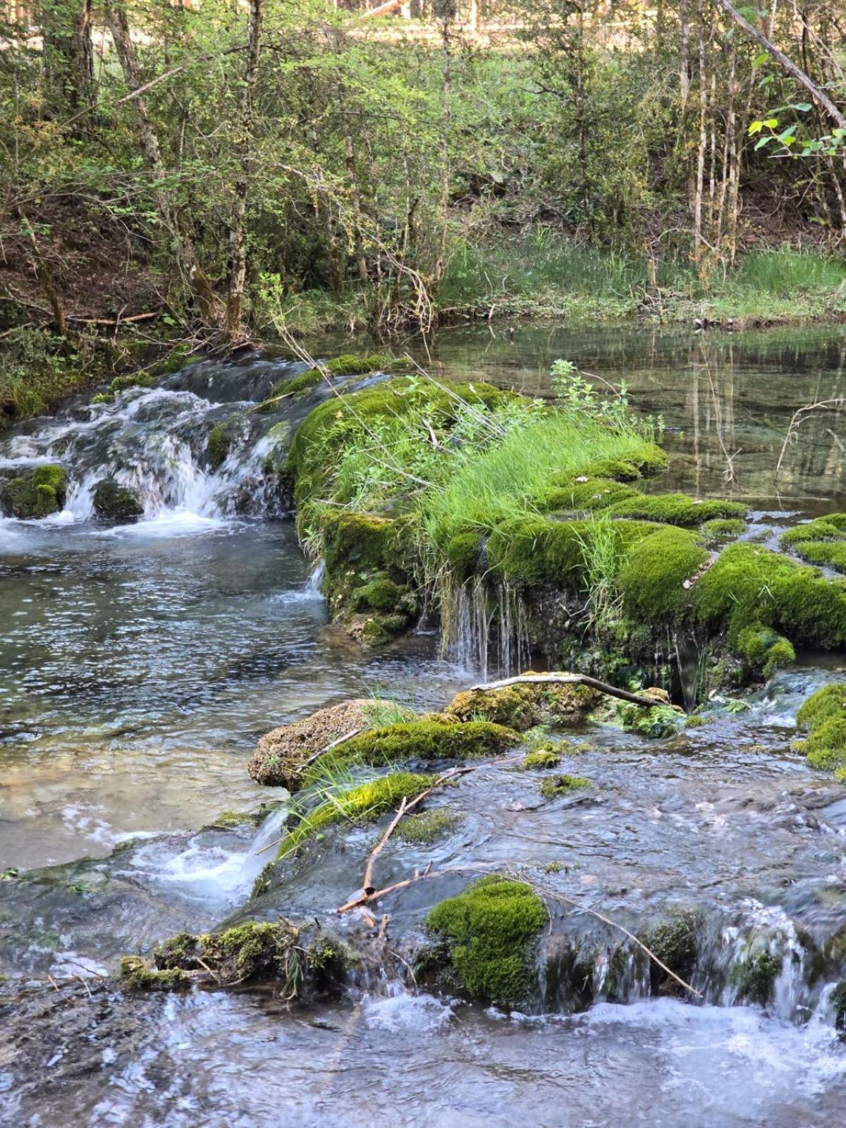 Hostal Rural Alto Tajo Poveda Poveda de la Sierra Eksteriør billede